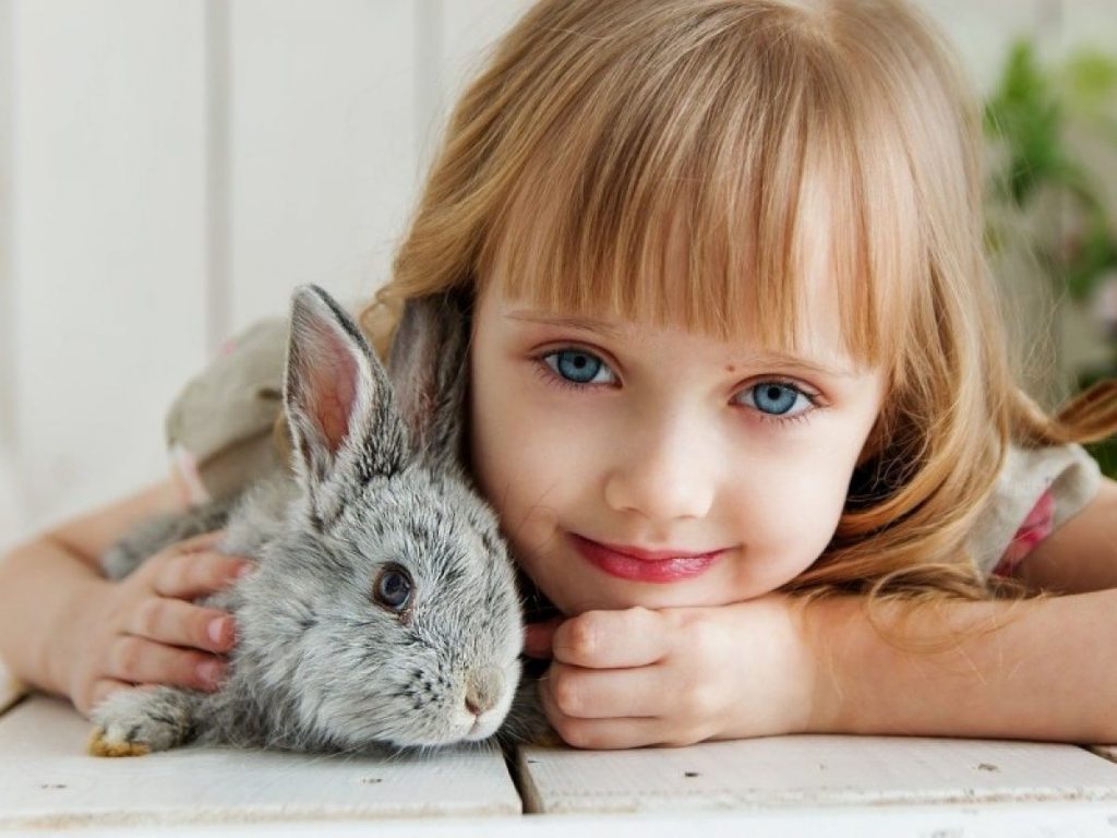 Conejo doméstico: la mascota perfecta para tu familia