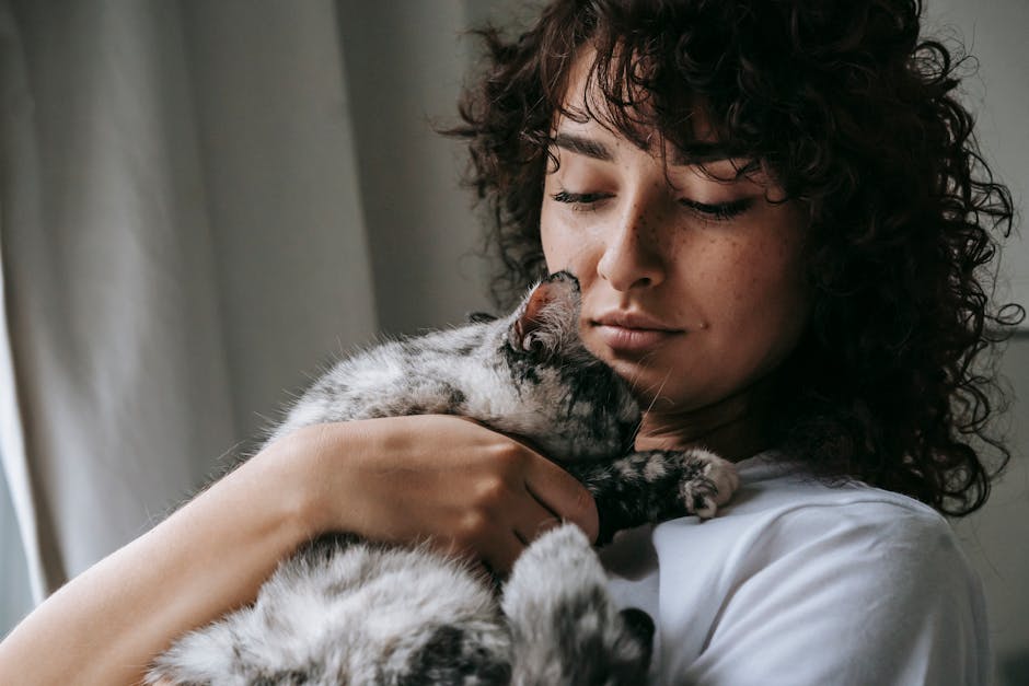 Gatos gris: características cuidados y curiosidades que debes conocer