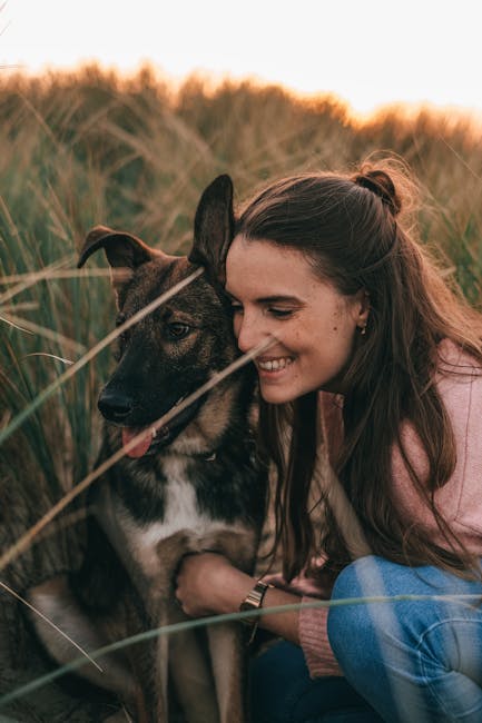 Las mejores razas de perros: descubre cuál se adapta mejor a tu estilo de vida